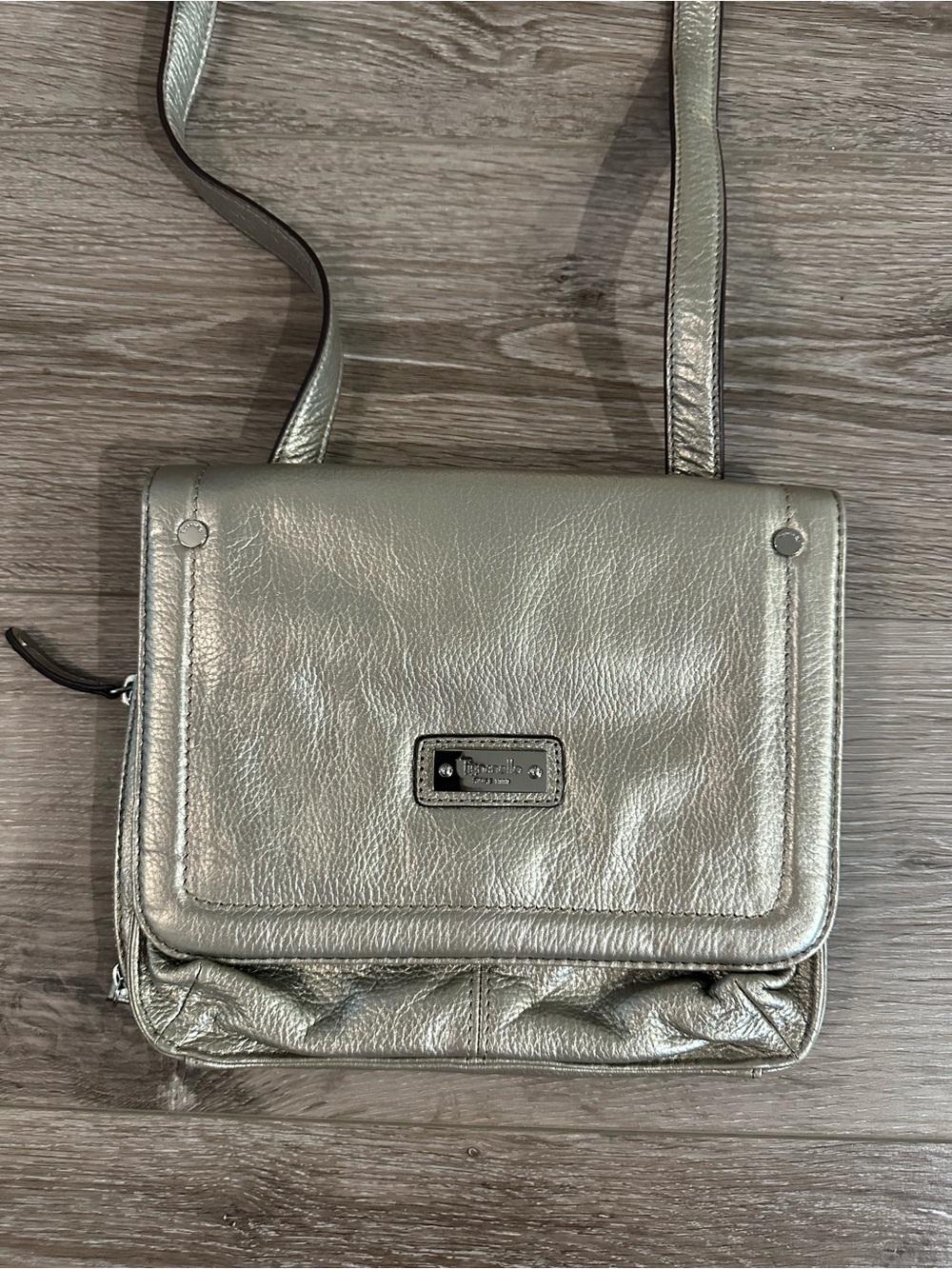 Tignanello Metallic Silver Crossbody Shoulder Bag